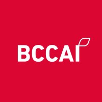 PRSSS-BCCAI Preliminary Survey